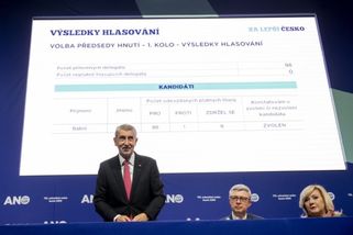 Babiš zůstal šéfem ANO, v užším vedení hnutí je nově jen poslanec Králíček