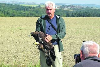 Vypuštěná orlice Tonička, kterou 15 let sledovali, nepřežila souboj - Novinky
