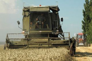 Miliony čerpaly Agrofert, Hamé i Madeta. Teď chce vláda dotaci zrušit - Novinky