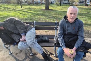 Do pražského „Sherwoodu“ se po opravách vrátila část laviček. Dá se na nich hůře polehávat - Novinky