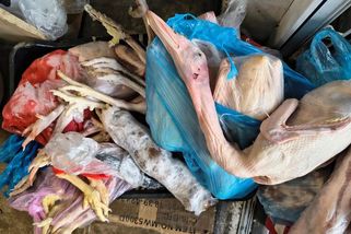 Zátah na brněnské tržnici. Veterináři odhalili čtvrt tuny masa s nejasným původem - Novinky