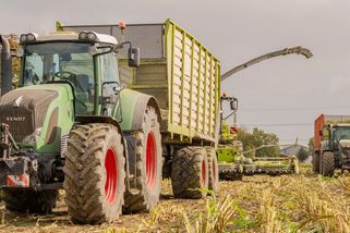 Z pomocníků odborníci: Ukrajinci se prosazují i ve vedení českých farem