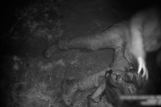 Muž na Břeclavsku při procházce upadl do bezvědomí. Probral se po několika hodinách za tmy a nemohl vstát - Novinky