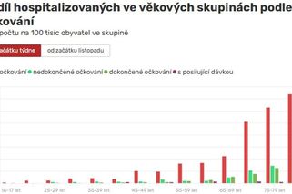 Kdo zaplňuje nemocnice a JIP - Novinky