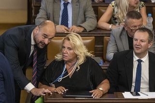 Koalice nabízí handl s Dostálovou - Seznam Zprávy