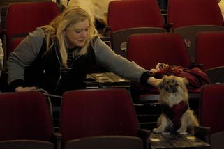 Psí promítání v pražském kině boduje. Pejsci jsou často slušnější než lidé, říkají návštěvníci - Novinky