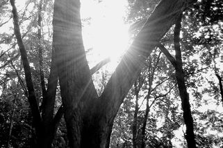 Lomec: Jen málo míst v Čechách vám vnese do duše tolik klidu - Médium.cz