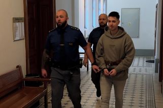 Popelář ze Sušice bodal náhodného muže do krku a hrudi. Dostal 17 let vězení - Novinky