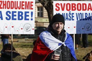 Nový typ autoritářství. Němečtí sociologové o protestech proti covidovým opatřením - Novinky