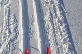 Vyrazili jsme na běžky jako dřív. Až na místě mi došlo, že už v životě znovu nepojedeme - Médium.cz