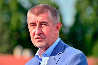 Proč vlastně chameleoni mění barvy? | Tisíce lidí zajímá...