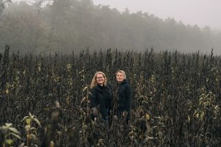 Co je to za divnou bramboru? Farma Oleško v zimě sklízí bájné topinambury