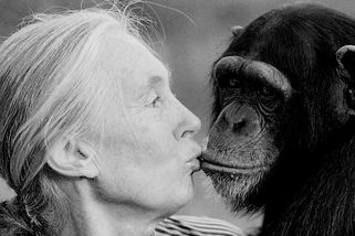 Bioložka Jane Goodallová zemřela - Novinky