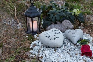 Pokuta za pohřbení mazlíčka na zahradě je vysoká, snadno se vystavujete riziku pokuty až 50 000 Kč