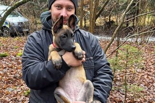 Místo možného hrobu u Nalžovic prohledali policejní psi. Psovodi popsali, jak je cvičí - Paměť národa - Články na Seznamu