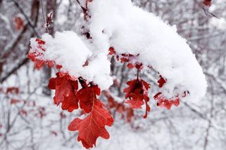 Počasí se změní už za pár hodin. Na Česko se žene mimořádná změna, varuje ČHMÚ