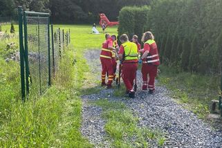 Policie v Karviné zastřelila agresivního psa. Pokousal dva muže, jeden je v kritickém stavu - Novinky