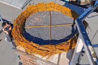 Čápi v Ústí nad Orlicí dostali nové hnízdo, ve starém hynula mláďata - Novinky