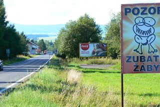 Bruntál láká turisty na zubaté žáby - Novinky