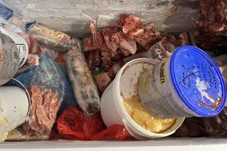 Plíseň, mastnota a nepořádek. Restauraci poblíž vily Tugendhat zavřela inspekce - Novinky