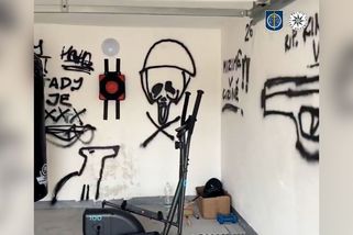 Dětští fanoušci Islámského státu z Brněnska zkusili vraždit, oběť přežila jen díky náhodě - Novinky