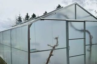 Plísně a škůdci ve skleníku? Zatočte s nimi dřív, než zasadíte první sazenici