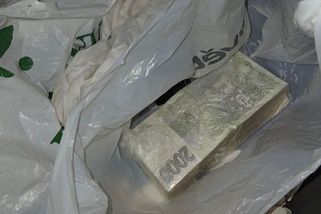 Chtěl vydělat na měděném prachu, místo toho podvodnice splatila vlastní dluhy - Novinky