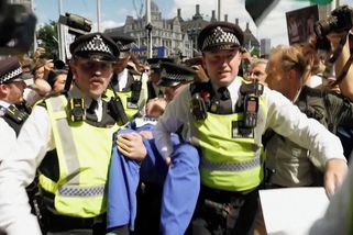 Zákaz organizace Palestine Action je nezákonný, rozhodl Nejvyšší soud v Londýně - Novinky