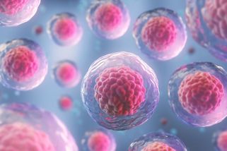 Jako ve sci-fi filmu. V Ohiu se narodilo dítě ze třicet let zmrazeného embrya - Seznam Zprávy