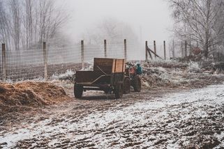Před 41 lety sevřely Česko mrazy jako na Sibiři. V teplotách pod -30°C zamrzaly záchody i autobusy - Médium.cz
