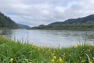 MAPA: V Česku bude mimořádně teplý týden. Sníh a mráz ale neřekly poslední slovo