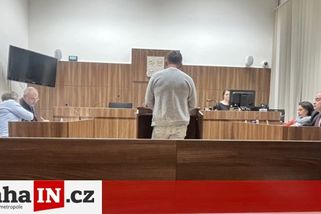 prahain.cz/krimi/wollner-a-dobiasova-pred-soudem-z-nekterych-detailu-mrazilo-20966.html