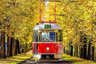 Trapný František Ringo Čech. Důchod mu nestačí ani na tramvaj? Důchodci jezdí zadarmo - Médium.cz