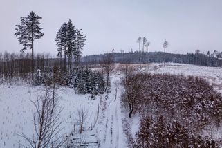 Meteorologové přehodnocují vývoj zimy. Výhled na únor a březen rozmetal jejich předpovědi jako domeček z karet