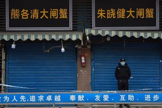 Proč až teď? Objev z Wu-chanu rozčílil vědce pátrající po původu pandemie - Seznam Zprávy