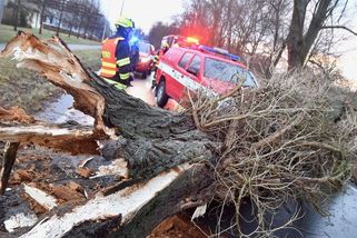 Hasič boural, když spěchal varovat ohrožené kolegy. Uloženou pokutu soud rozcupoval - Novinky