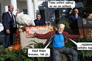 Prezident Pavel udělí na Vánoce milost kaprovi - Médium.cz