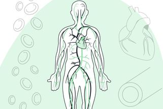 Chronické žilní onemocnění je často podceňované i lékaři - Médium.cz