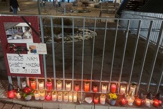 Zemřel kocour Mikeš. Lidé v Modřanech ho milovali tak, že mu postaví pomník - Novinky