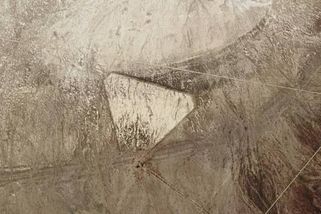 Satelit odhalil v poušti obří trojúhelník. Na sítích ihned způsobil poprask