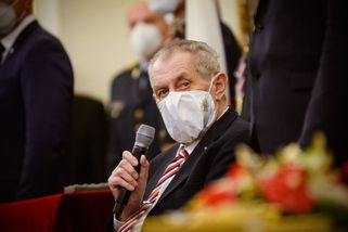 Zeman by demonstranty s šibenicemi rád viděl ve vě...