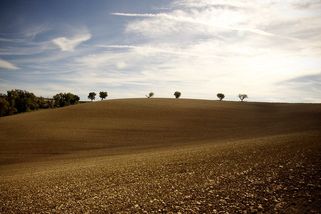 Ministerstvo zemědělství chystá změny pozemkových úprav