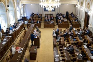 Ve Sněmovně hledali zbraň. Konzultant poslankyně ji zapomněl na záchodech - Novinky