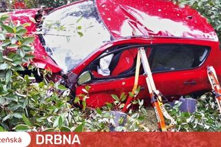Auto vyletělo v zatáčce ze silnice, narazilo do sloupu a skončilo v husté vegetaci. Řidička je v kritickém stavu