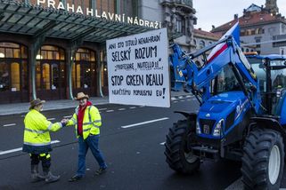 Krávy prdí, no... To chcete dovážet z Indie, zlobí se zemědělci - Seznam Zprávy