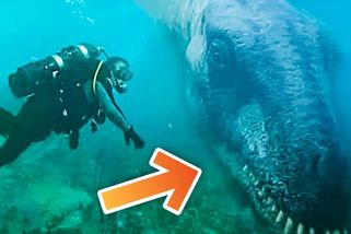 Co potápěč objevil v Bermudském trojúhelníku, šokovalo celý svět | To nejlepší ze světa