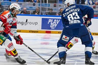 Milovaný i nenáviděný Sedlák utišil Brno. Lidi po něm jdou i mimo led, upozorňuje Kondelík - Sport.cz