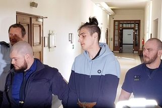 Recidivistovi, který upálil seniora i jeho psa, zmírnil soud doživotí na 30 let - Novinky