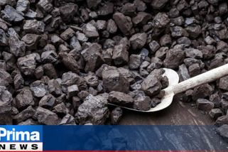 Máte dost uhlí na zimu? Na burzách je téměř čtyřikrát dražší než před rokem, varují experti