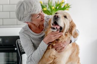 Staří rodiče chtějí štěně. Bojím se, že ho nezvládnou a pes skončí u mě. Jak jim říct, že je to blbost? - Proženy.cz